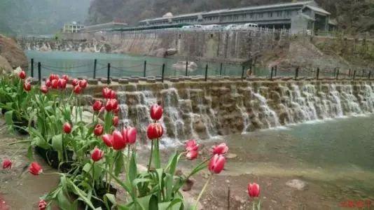 齐齐哈尔寄宿自习室-全面解答网页答疑平台